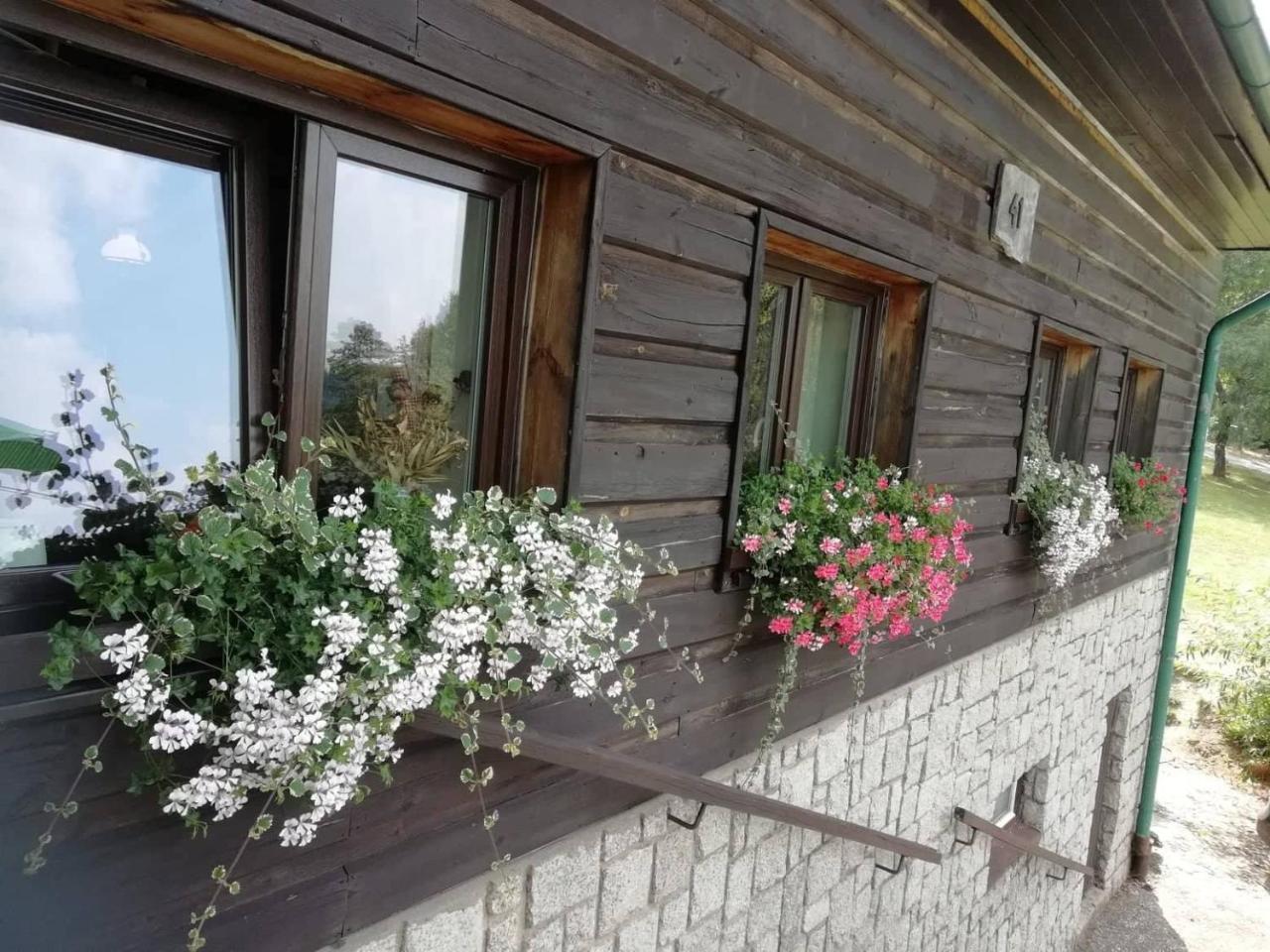 Hotel Penzion Pohlednicka Benecko Exterior foto